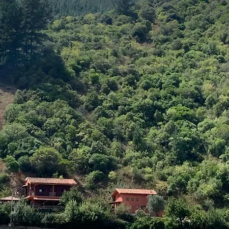 La Roja Exclusive * Potes